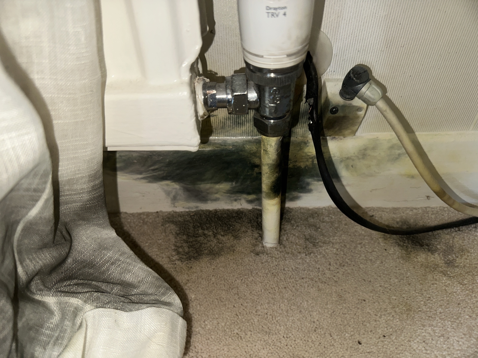 Cable Curtains Carpet